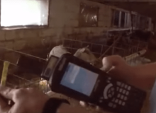 F08 RFID Tag Used For Animal Identification