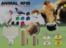 Applicazione dell'RFID nei moderni caseifici