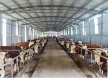Diervoederveiligheid Traceerbaarheid Systeemoplossing op basis van RFID-technologie