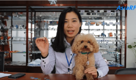 ¿Cómo funciona el Tag RFID ayuda de mascotas a encontrar la mascota perdida