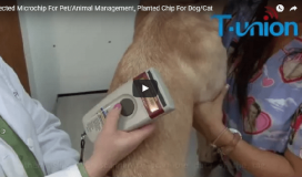 Injected Microchip For Pet Management