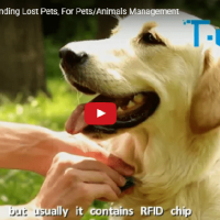 Etiquetas RFID do animal de estimação para ajudar a encontrar animais perdidos