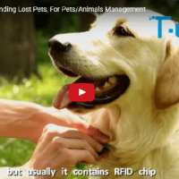 Pet RFID теги, чтобы найти потерянных животных