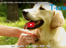 RFID Tag Pet di aiuto per trovare animali persi