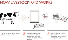 How to use Animals Tags in Farm Management?