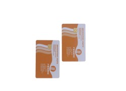 CMYK / Pantone que imprime o cartão de IC do contato do cartão de microplaqueta de SLE5528 IC