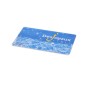 Cartão de impressão padrão do PVC FELICA-Lite-S(224B) -HF RFID Cartões