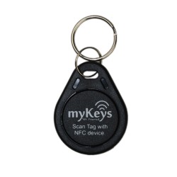 125KHZ LF RFID Keyfob