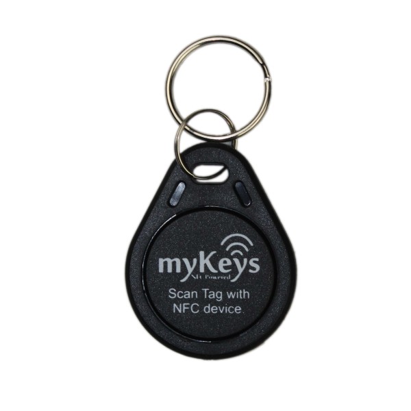 125KHz LF RFID Schlüsselanhänger -RFID Keyfob