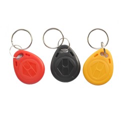 TK4100 RFID Keyfob