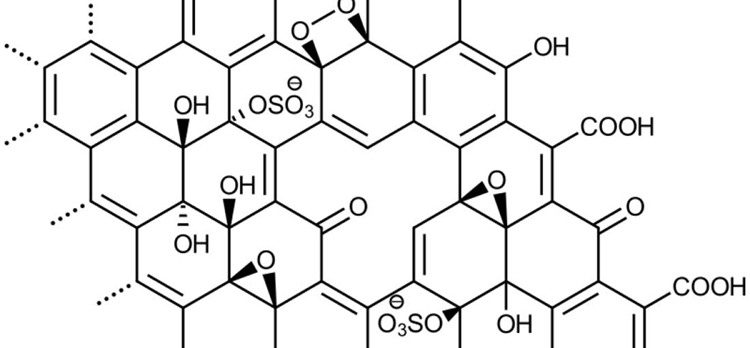 Graphene Structure Diagram